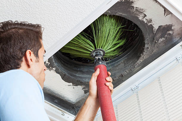 Air Duct Mold Removal in Clarks Summit, PA